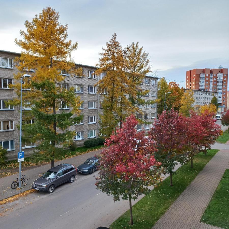 Narva Relax Apartment 外观 照片